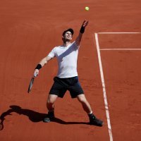 Andy Murray (5)