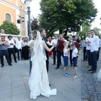 Svadba Dinamovog kapetana Domagoja Antolića