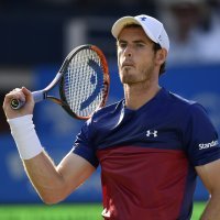 andy murray