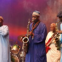 Orchestra Baobab na INmusic festivalu