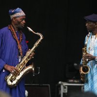 Orchestra Baobab na INmusic festivalu