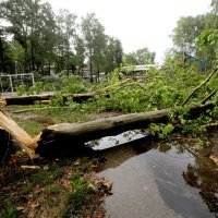 Olujno nevrijeme u Novom Zagrebu