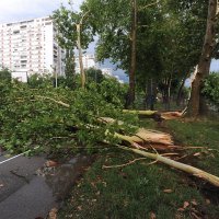 Olujno nevrijeme u Novom Zagrebu