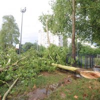 Olujno nevrijeme u Novom Zagrebu