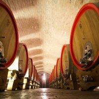 belje_vinogradi46-140414