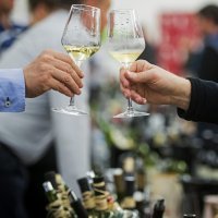 festival_hrane_vina10-21021