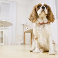 05 iskon smarthome senzori u prostoru 1