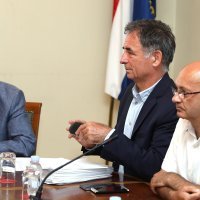 Robert Podolnjak, Milorad Pupovac, Goran Aleksić