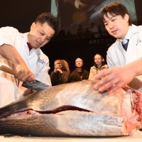 Japanci obožavaju meso od tune