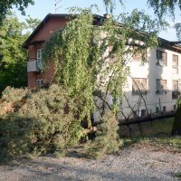 Olujni vjetar u Sisku i Popovači rušio stabla i prouzročio štetu