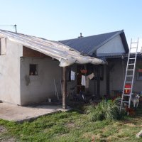 Olujni vjetar u Sisku i Popovači rušio stabla i prouzročio štetu