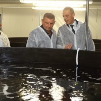 Tadašnji ministar poljoprivrede Tihomir Jakovina, Goran Markulin, predsjednik Uprave Cromarisa i Ante Gotovina.