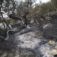 Plano dan nakon požara