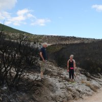 Plano dan nakon požara