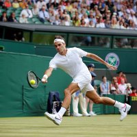 Roger Federer (1)