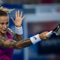 Polona Hercog