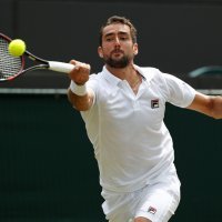 Marin Čilić (4)