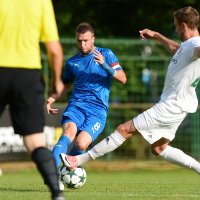 GNK Dinamo - FC Vorskla Poltava, Domagoj Antolić (3)