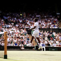 Gael Monfils (3)