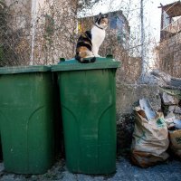 Odbačene azbestne ploče u Splitu, 2016.