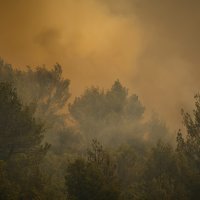 Požar u općini Seget