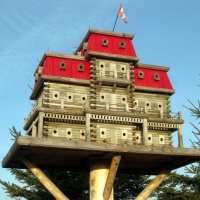 Luksuzni dvorci za ptice