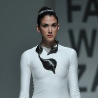 Nakit Ivana Midžića