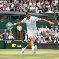Marin Čilić i Sam Querrey - polufinale2