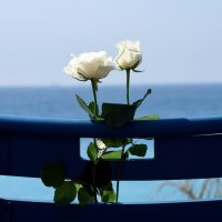 Počast žrtvama u Nici