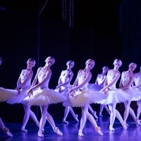 Balet Labuđe jezero u sklopu Dubrovačkih ljetnih igara