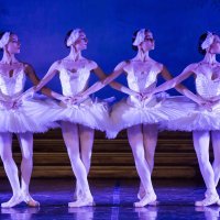 Balet Labuđe jezero u sklopu Dubrovačkih ljetnih igara