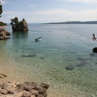 Berulia, Brela