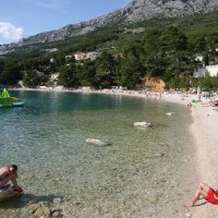 Berulia, Brela