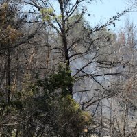 Perković nakon velikog požara