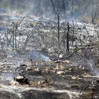 Perković nakon velikog požara
