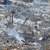 Perković nakon velikog požara
