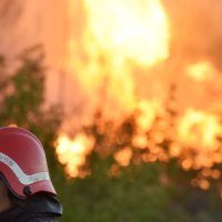 U Bilicama pokraj Šibenika veliki požar u blizini autoceste Zagreb - Split