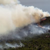 Požar na poluotoku Luštica
