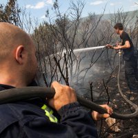 Požar na poluotoku Luštica