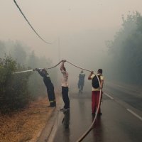 Požar na poluotoku Luštica
