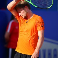 David Goffin (1)