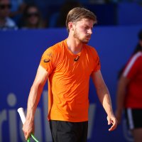 David Goffin (3)
