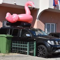 Divovski rozi flamingo na napuhavanje stigao na odmor u Hrvatsku