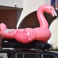 Divovski rozi flamingo na napuhavanje stigao na odmor u Hrvatsku