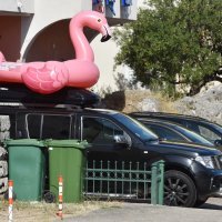 Divovski rozi flamingo na napuhavanje stigao na odmor u Hrvatsku