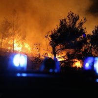 Vatrogasci u akciji gašenja požara kod Gornjeg Rupotina nedaleko od Klisa