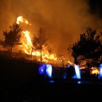 Vatrogasci u akciji gašenja požara kod Gornjeg Rupotina nedaleko od Klisa