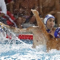 Mitrović protiv Fatovića