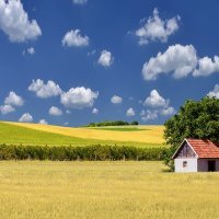 'Baranja je to', baranjska polja kod sela Suza