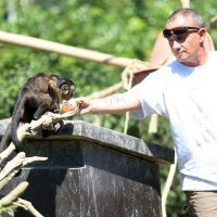 Rashlađivanje životinja u zagrebačkom ZOO-u